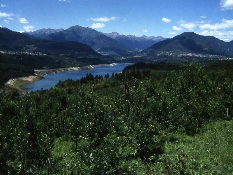 Laghi.......del TRENTINO